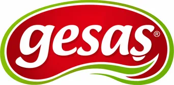 gesas logosu